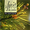 Couverture de La forêt des Landes de Gascogne