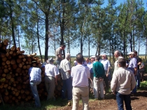 La sylviculture et la gestion durable des forêts